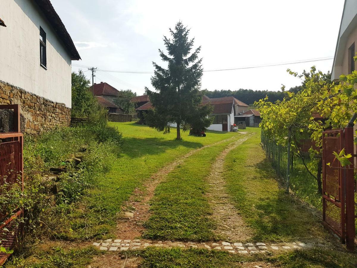 Green Apartments Kursumlija Bagian luar foto