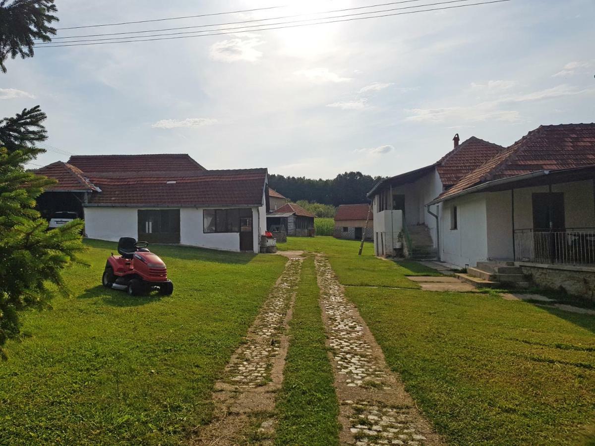 Green Apartments Kursumlija Bagian luar foto