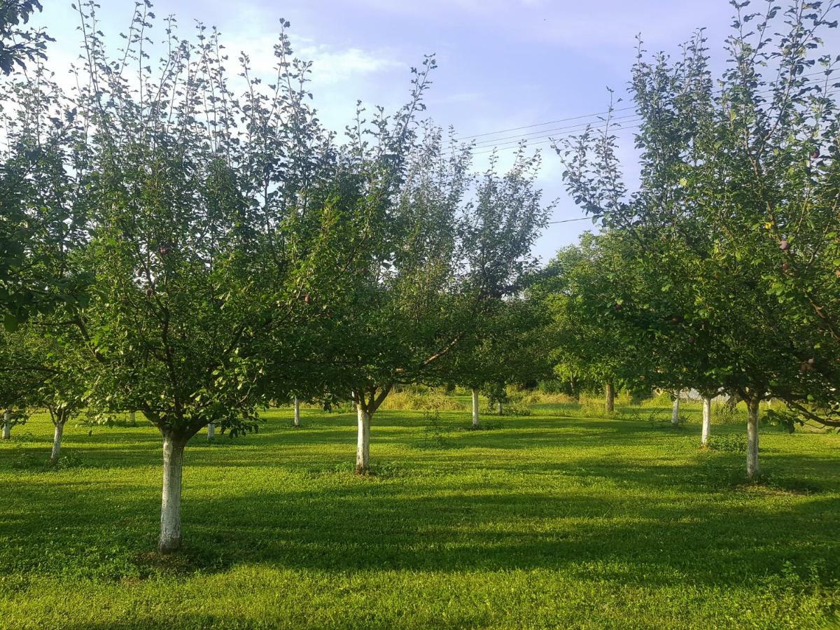 Green Apartments Kursumlija Bagian luar foto