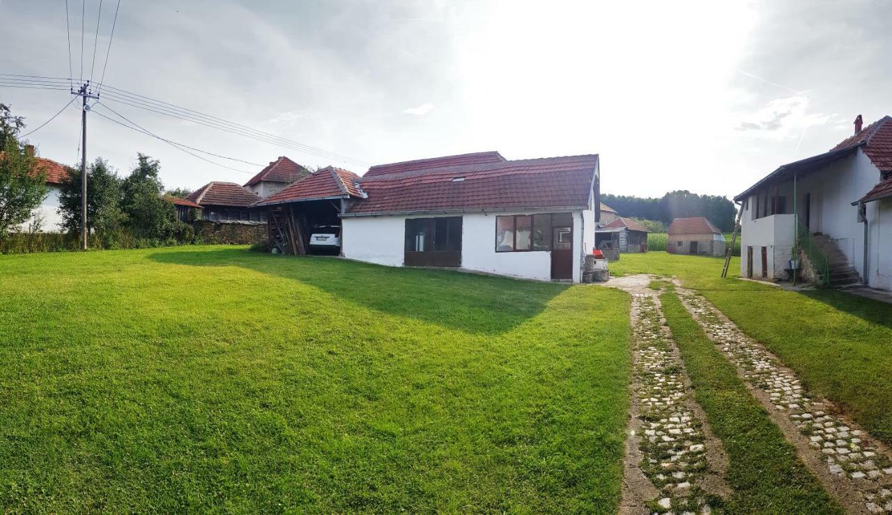 Green Apartments Kursumlija Bagian luar foto