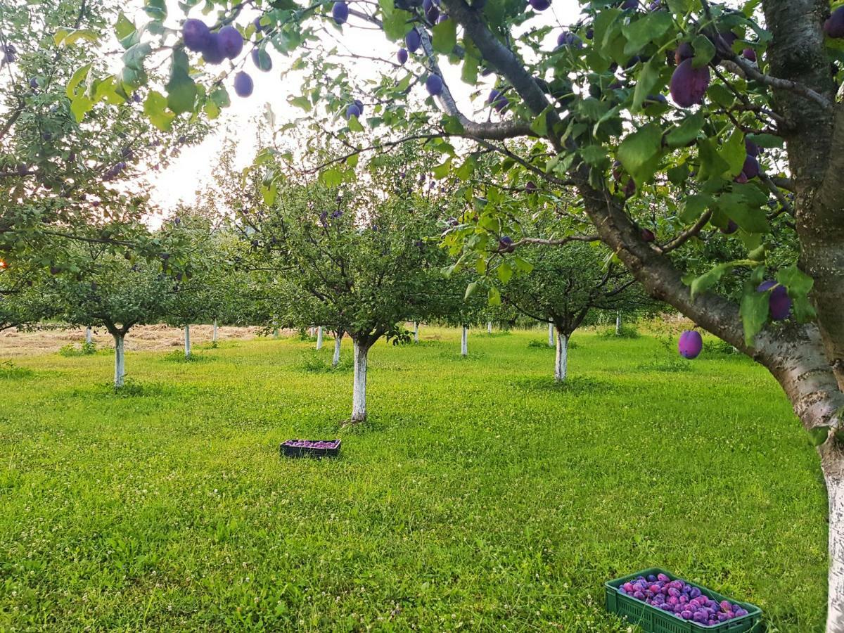Green Apartments Kursumlija Bagian luar foto