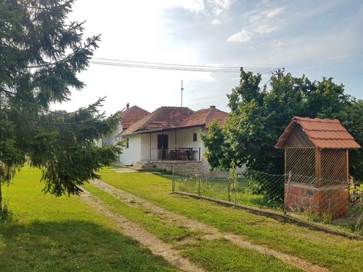 Green Apartments Kursumlija Bagian luar foto